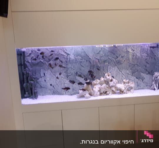 אקווריום מובנה בקיר עם דלתות אחסון מתחת